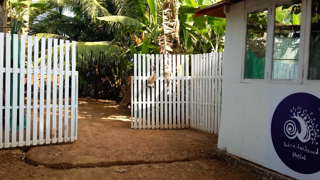 Wonderland Hostel Anjuna Exterior foto